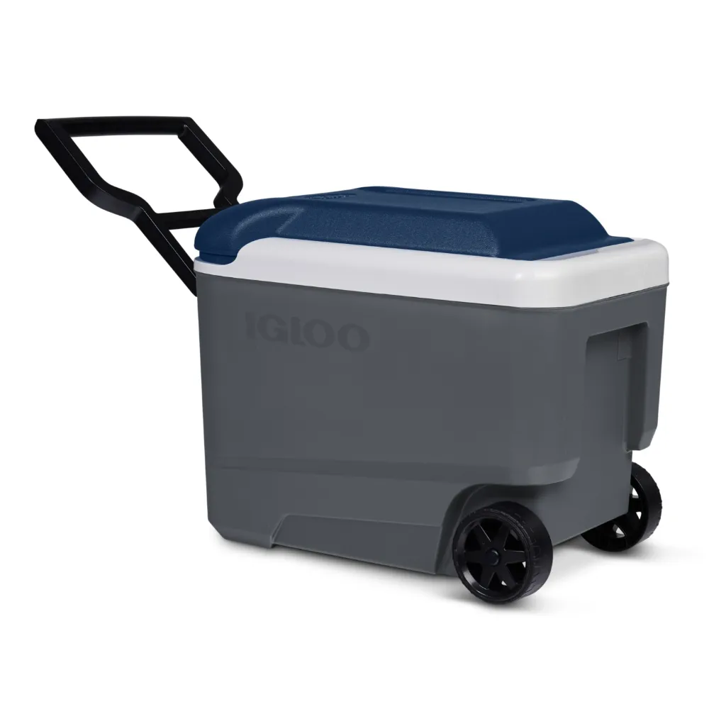 Igloo-kylmalaukku-Maxcold-R-38-l-harmaa-4.webp