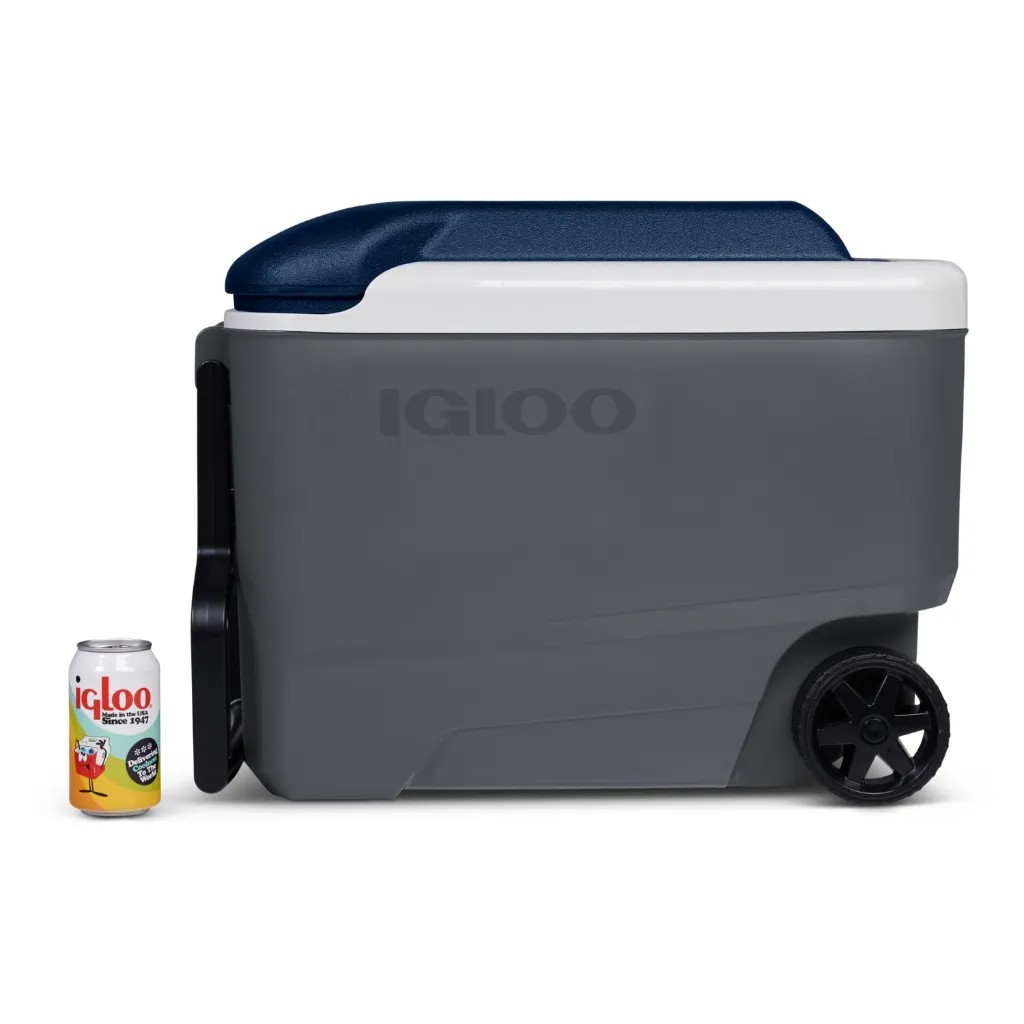 Igloo-kylmalaukku-Maxcold-R-38-l-harmaa-5.webp